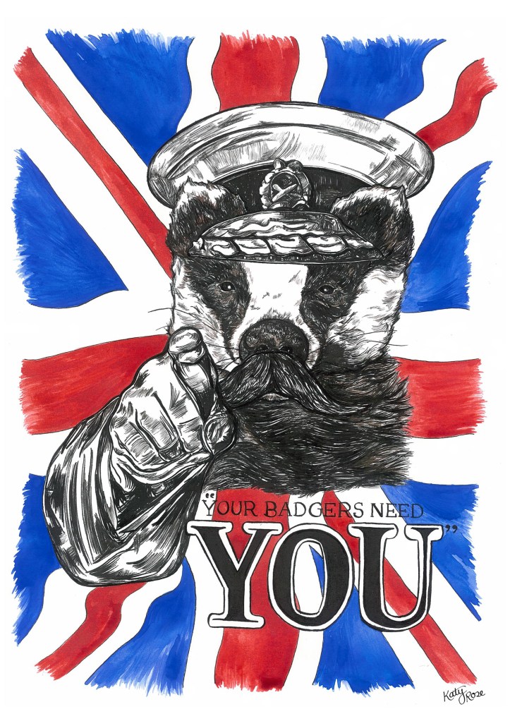 Your Badgers Need You Illustration - Katy Rose