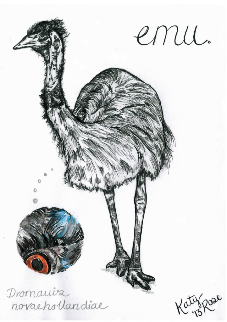 emu - katy rose