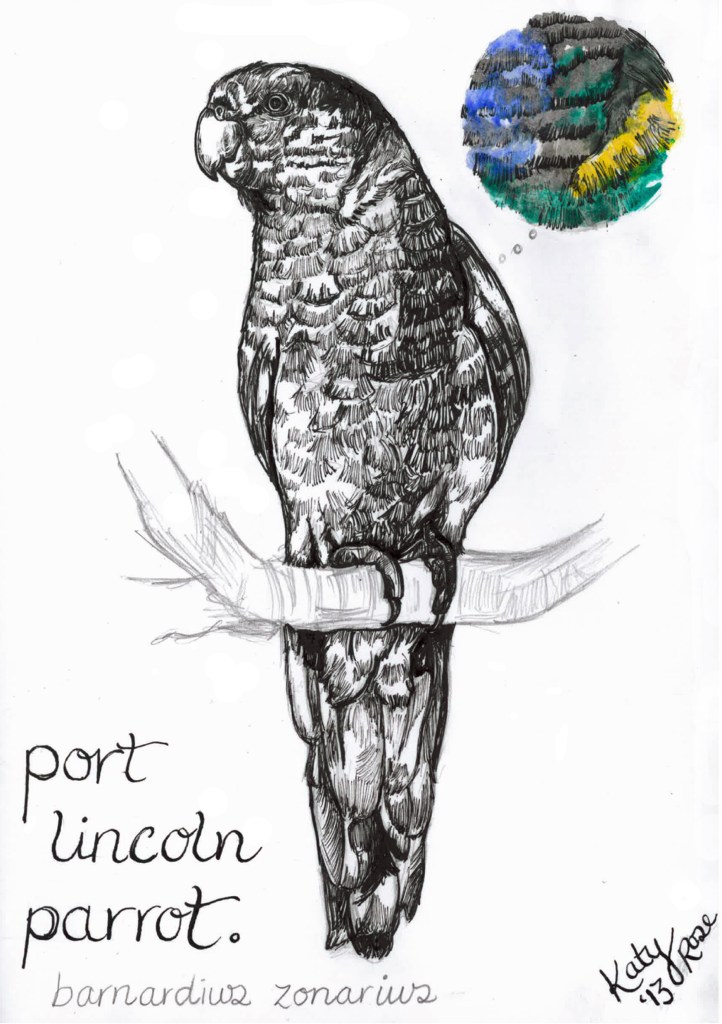 Port Lincoln Parrot - Katy Rose